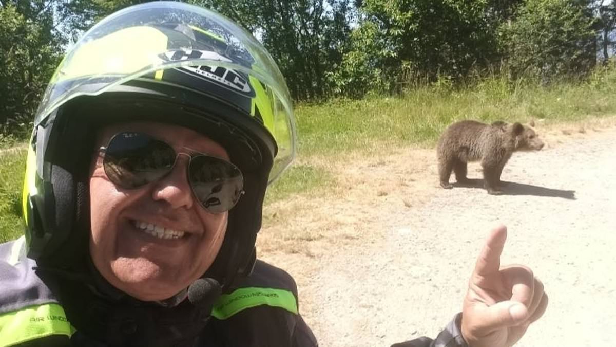 alert-–-tourist-is-dragged-into-a-ravine-and-killed-by-bear-after-posing-for-selfie-with-its-cub-in-romania