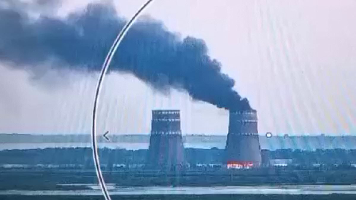 alert-–-ukraine-nuclear-power-plant-alert-as-all-external-electricity-cables-helping-keep-reactor-fuel-cool-go-down