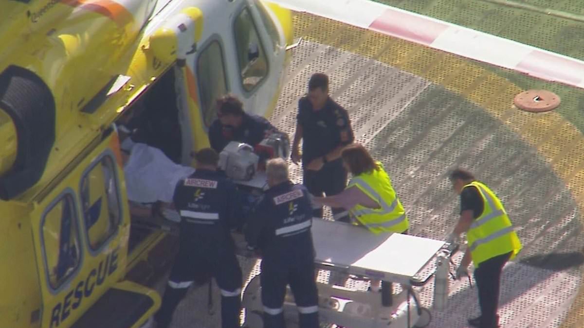 alert-–-woman-loses-her-arm-after-lion-attacks-her-at-darling-downs-zoo