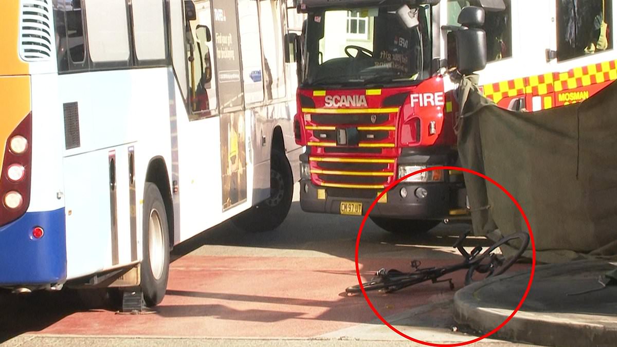alert-–-horror-after-cyclist-is-hit-and-killed-by-a-bus-outside-taronga-zoo-in-front-of-terrified-passengers-–-as-commuters-are-warned-of-transport-disruptions