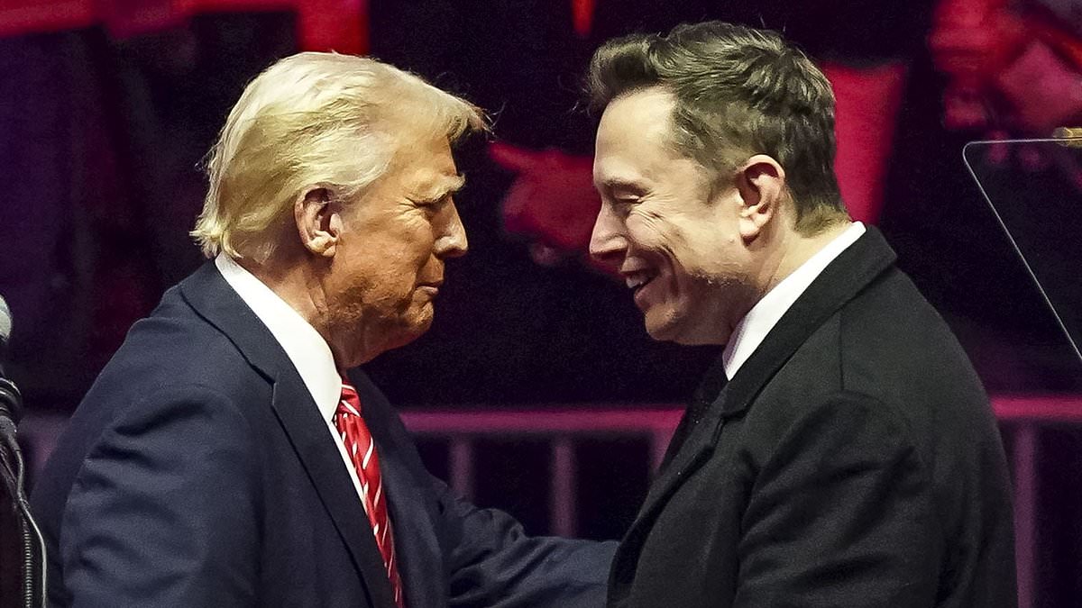 alert-–-elon-musk-faces-glaring-hurdle-as-he-forms-new-america-party-after-trump-feud