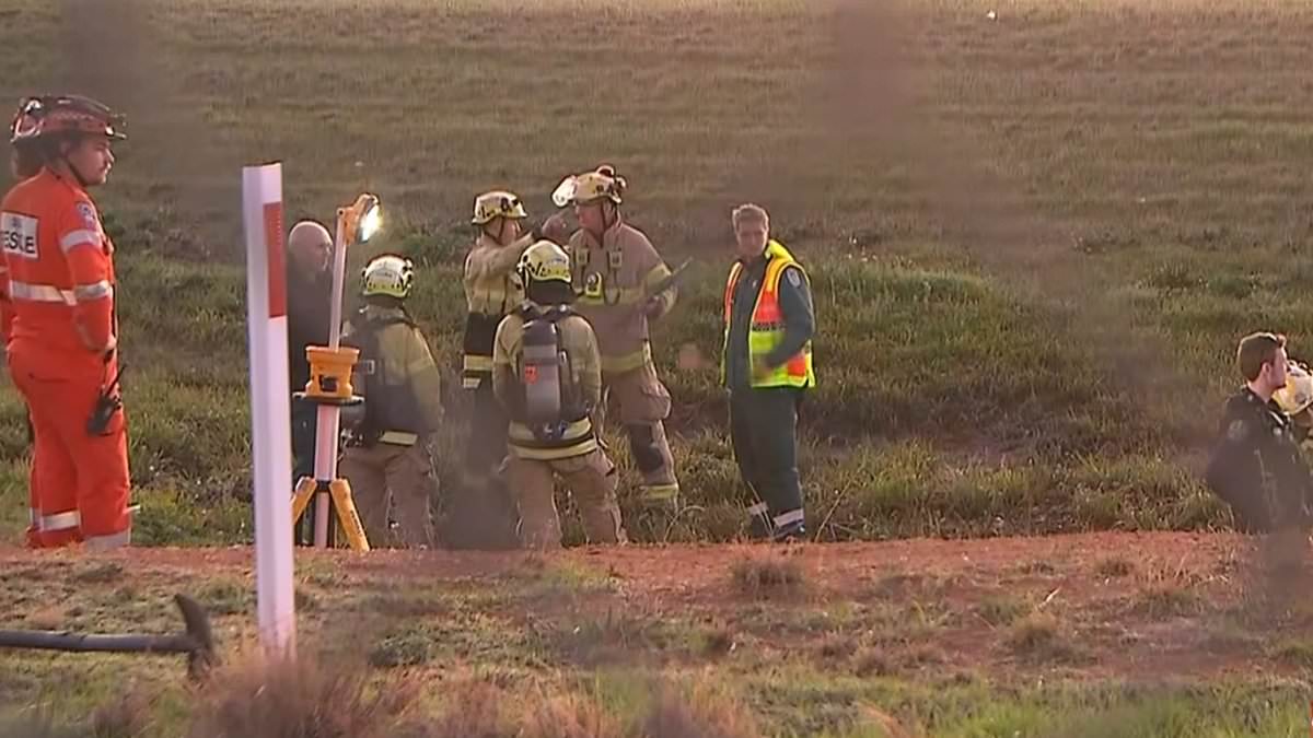 alert-–-bizarre-incident-shuts-down-major-aussie-airport-as-dark-figure-is-seen-on-the-runway-before-fleeing-into-stormwater-drain