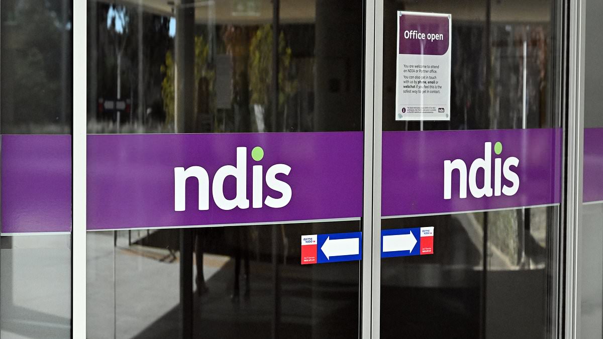 alert-–-urgent-ndis-warning-issued-that-10,000-vulnerable-children-will-lose-access-to-services:-‘tip-of-the-iceberg’