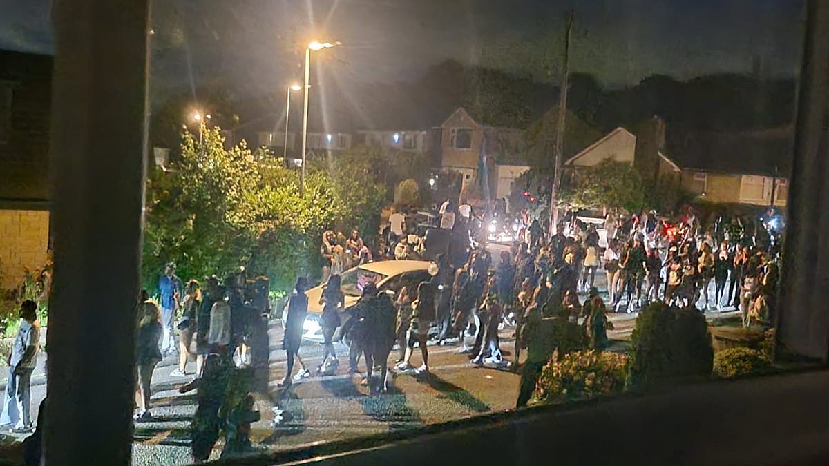 alert-–-holiday-home-is-trashed-after-gender-reveal-booking-turns-into-200-people-drunken-rampage