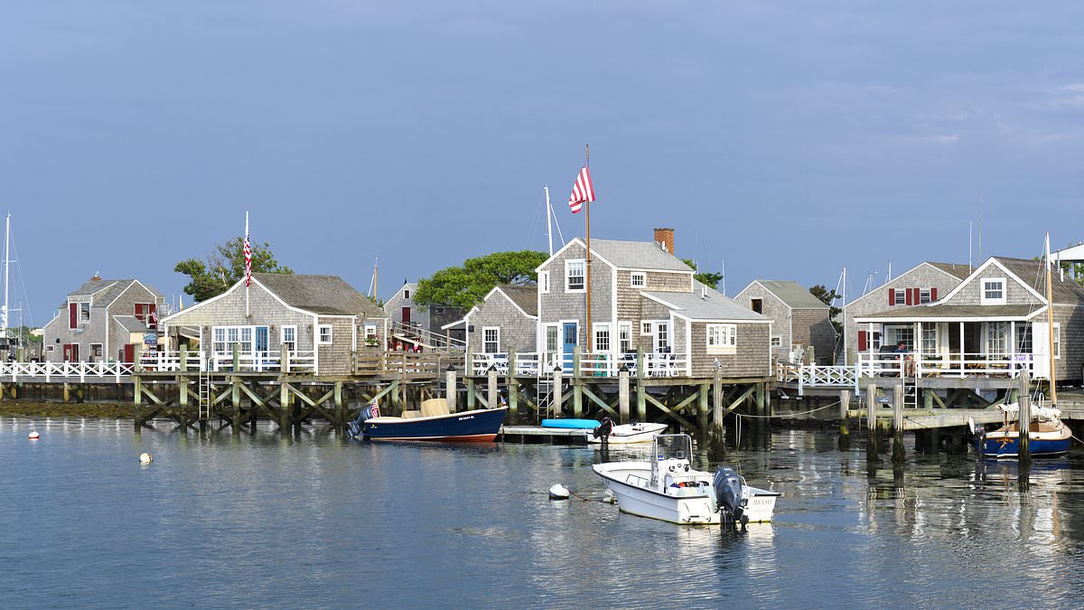 alert-–-property-wars-break-out-on-lavish-island-after-man-‘cuts-down-his-neighbor’s-trees-to-give-himself-an-ocean-view’