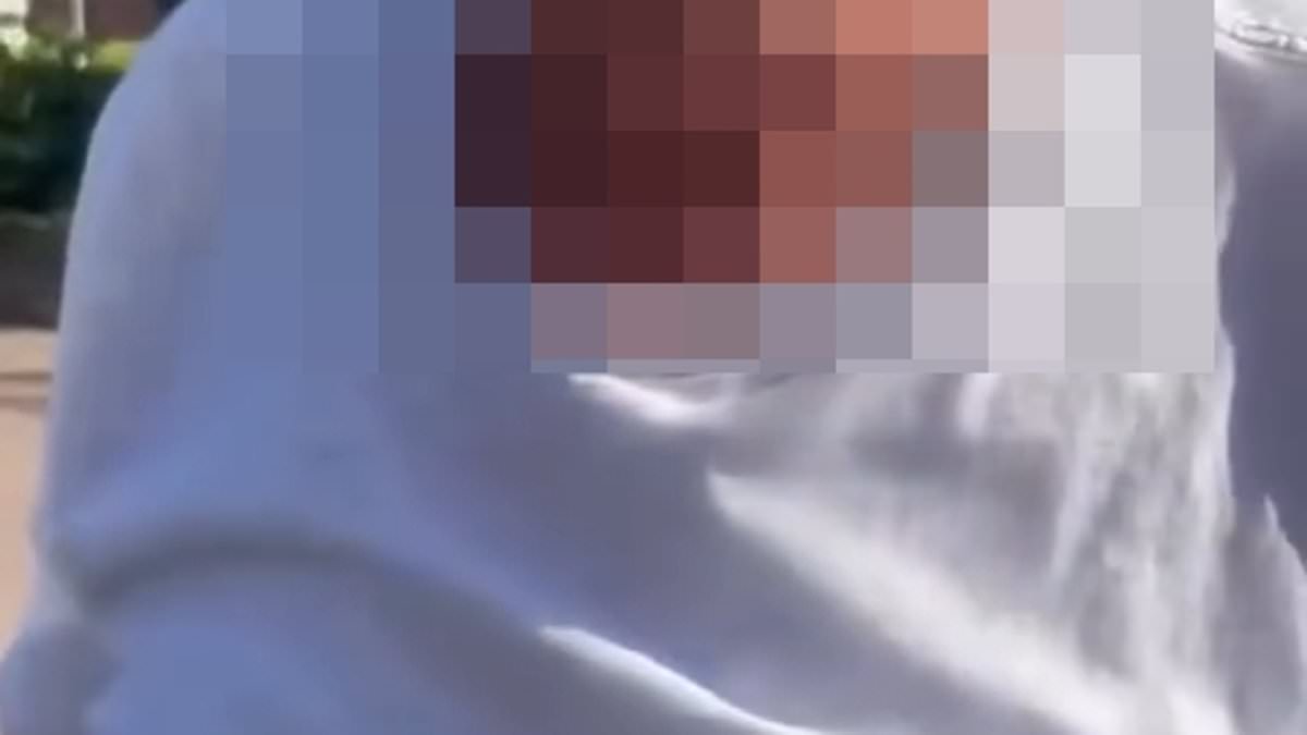 alert-–-police-launch-probe-after-pensioner-‘hurled-abuse-at-nursery-worker-and-smacked-phone-out-of-her-hand’-in-vicious-row-over-parking