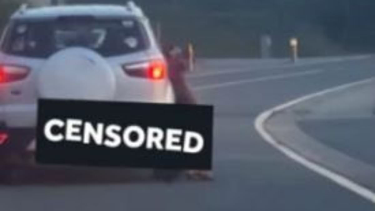 alert-–-thug-is-filmed-killing-his-dog-by-dragging-it-behind-his-car-at-50mph-for-several-miles-–-before-online-vigilantes-track-him-down-in-belgium-and-burn-down-his-house-in-‘attempted-murder’