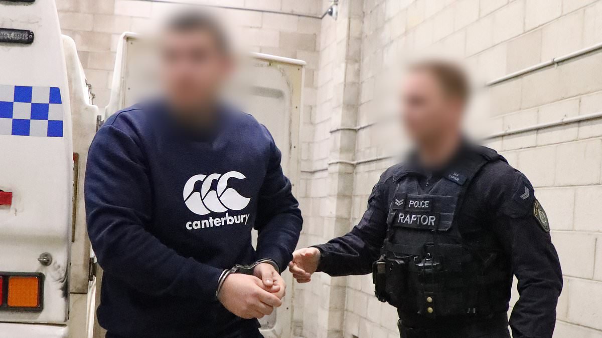alert-–-rebels-bikie-accused-of-disturbing-act-against-a-cat-is-thrown-behind-bars