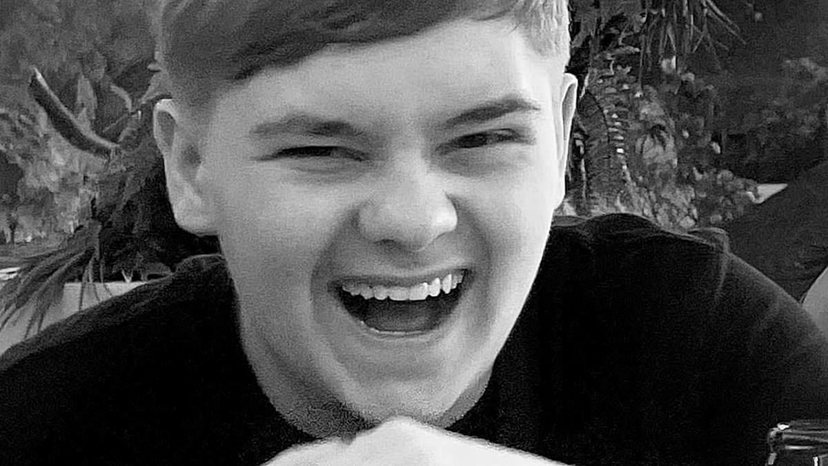alert-–-tragic-schoolboy-said-‘i-didn’t-come-to-school-to-fight’-minutes-before-he-was-stabbed-to-death-by-fellow-pupil-on-their-lunch-break,-court-hears