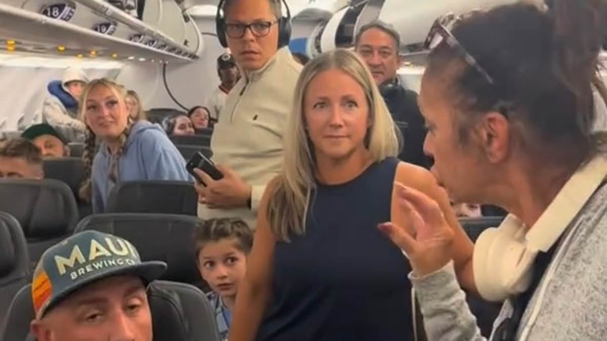 alert-–-ugly-fight-breaks-out-aboard-plane-after-female-lawyer-is-accused-of-skipping-the-line-to-disembark-earlier