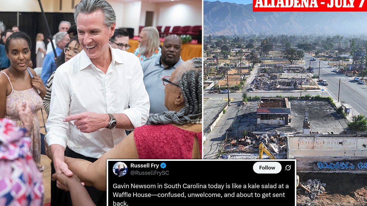 alert-–-gavin-newsom-savaged-for-out-of-touch-southern-campaign-swing-like-a-‘kale-salad-at-a-waffle-house’