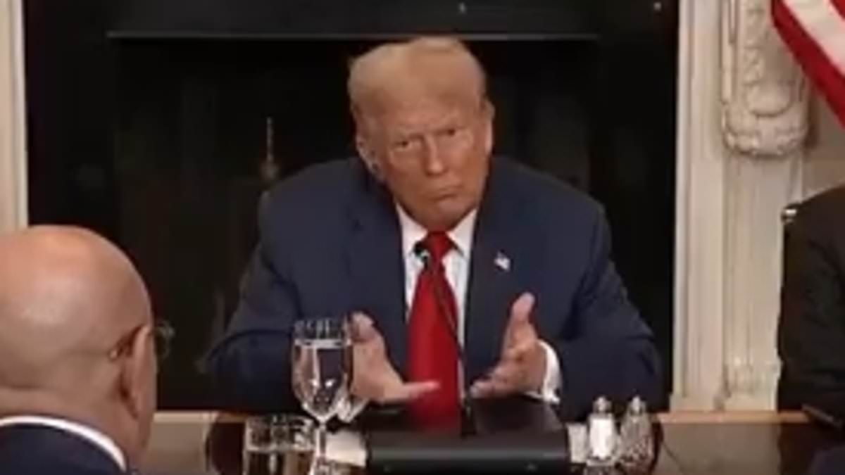 alert-–-donald-trump-hurries-along-west-african-leaders-boasting-about-natural-resources