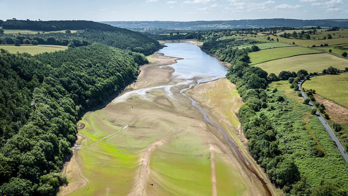alert-–-millions-more-face-threat-of-hosepipe-bans:-reservoirs-run-low-as-britain-swelters-in-33c-heatwave-and-experts-issue-health-alerts-for-central-and-southern-england