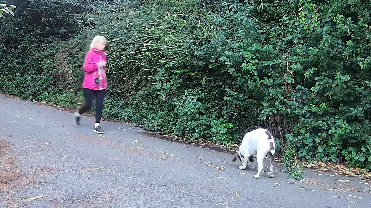alert-–-the-tragic-final-moments-of-mother-of-six-anita-rose-as-she-walks-her-dog-oblivious-to-her-killer-prowling-the-streets-behind-her