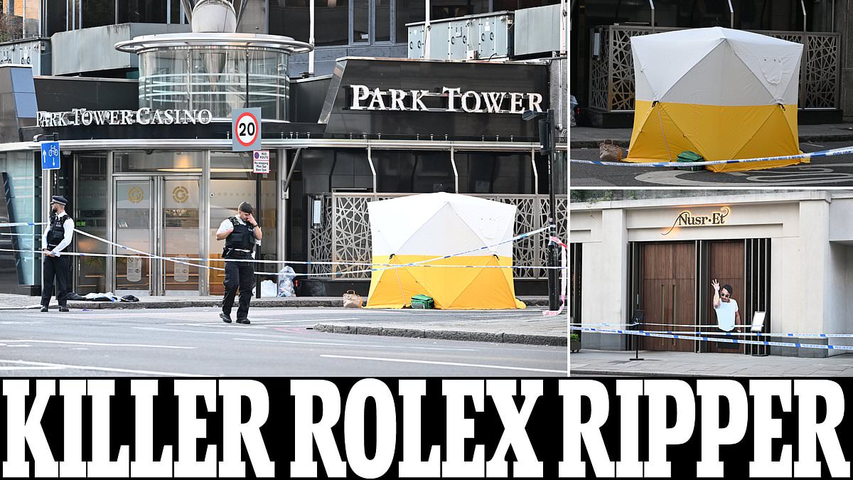 alert-–-murdered-by-a-‘rolex-ripper’-outside-famous-restaurant-in-broad-daylight:-masked-mugger-fatally-stabs-man-who-‘tried-to-fight-back’-outside-five-star-hotel-in-knightsbridge
