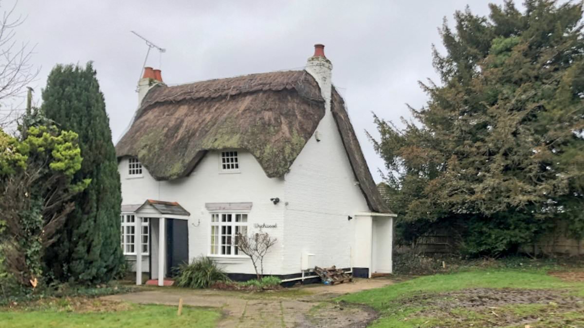 alert-–-mystery-of-the-demolished-cottage-baffles-village:-neighbours-tell-how-gang-of-‘rough’-workers-tore-down-300-year-old-thatched-cottage-without-planning-permission