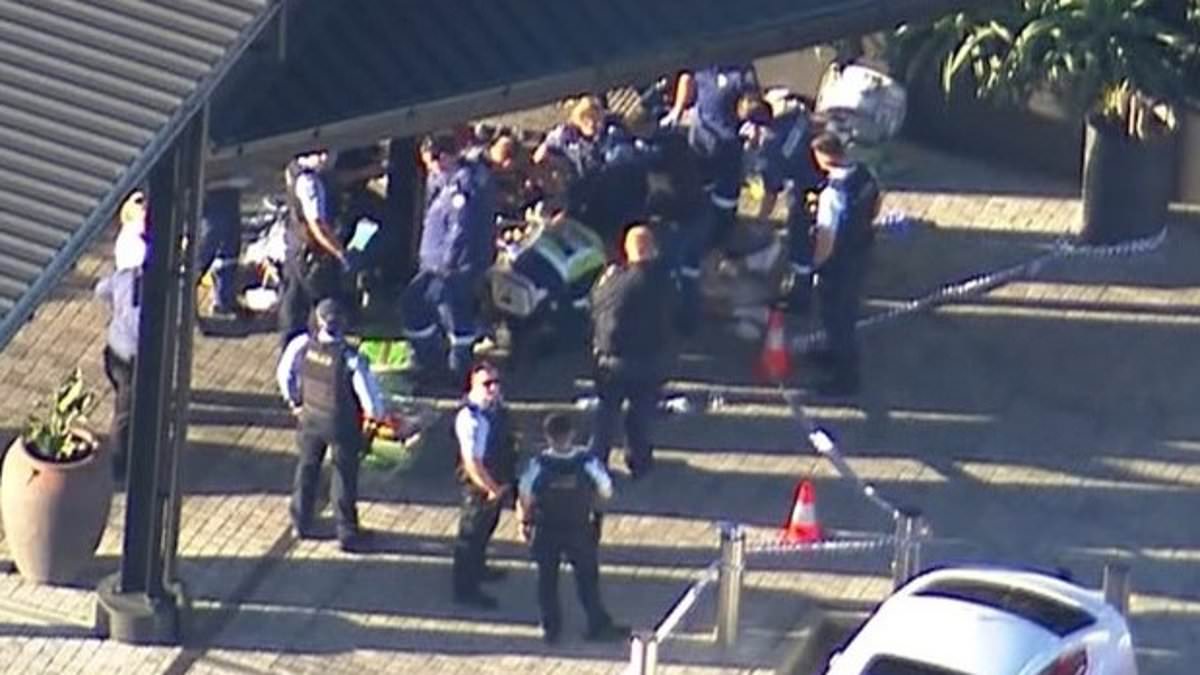 alert-–-mount-druitt-westfield:-cops-descend-on-busy-shopping-centre