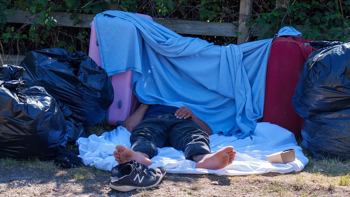 alert-–-welcome-to-the-little-chagos-islands!-single-london-council-faces-18m-bill-as-it-is-forced-to-house-hundreds-from-the-indian-isles-on-top-of-its-asylum-seekers-quota