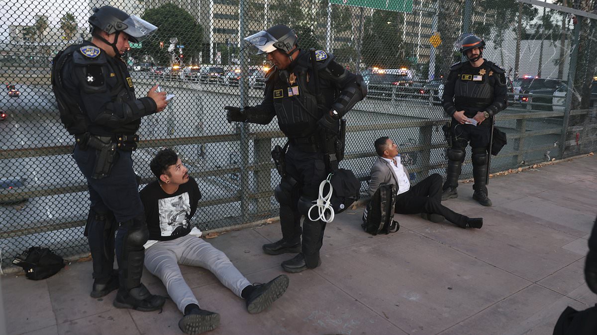 alert-–-federal-judge-issues-stunning-rebuke-to-trump-by-blocking-‘unlawful’-ice-detentions-in-southern-california-amid-wide-scale-crackdown