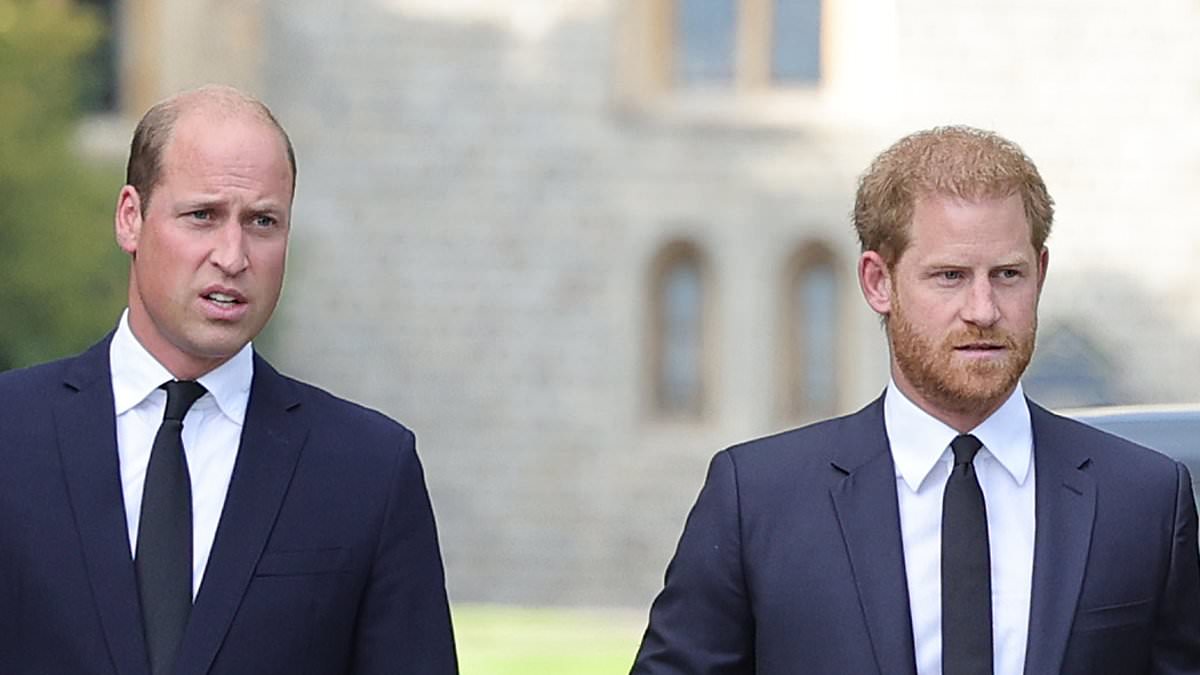alert-–-prince-harry-and-king-charles’-aides’ ‘reconciliation-talks-would-never-have-happened-without-william’s-support-and-understanding’,-royal-experts-claim