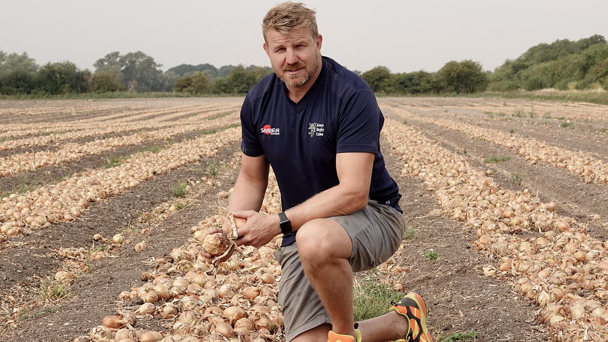 alert-–-farmers-are-banned-from-watering-their-crops-during-britain’s-sweltering-heatwave-as-temperatures-hit-33c
