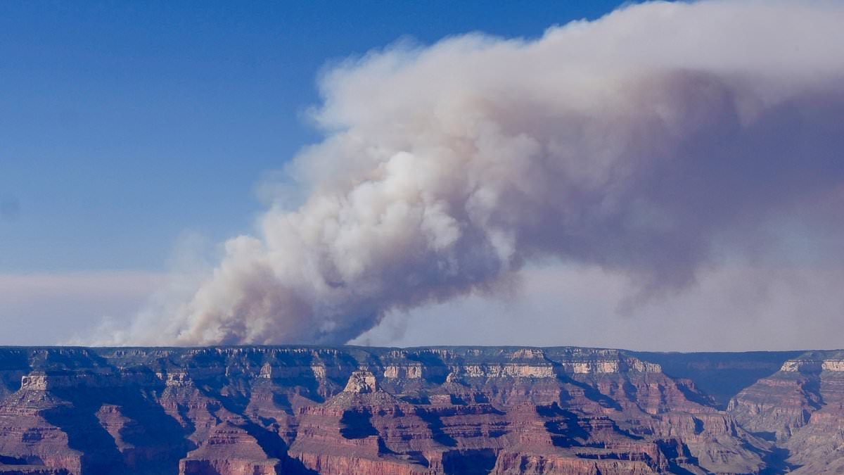 alert-–-grand-canyon-wildfire-explodes-overnight-as-chlorine-gas-and-thick-black-smoke-blankets-midwest