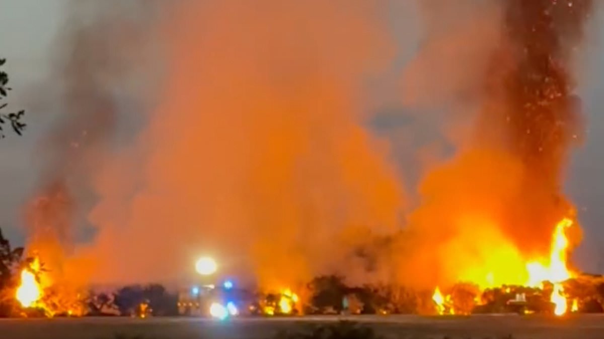 alert-–-huge-wildfire-rages-in-the-new-forest:-ferocious-flames-tower-over-fire-engines-battling-to-put-out-blaze
