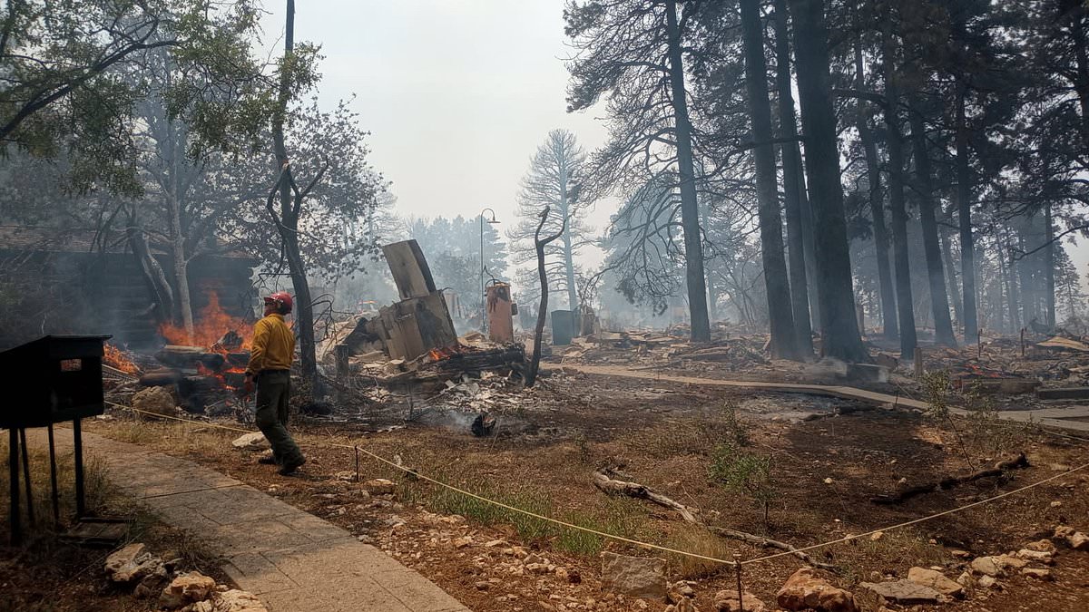 alert-–-historic-grand-canyon-lodge-destroyed-by-fast-moving-wildfire