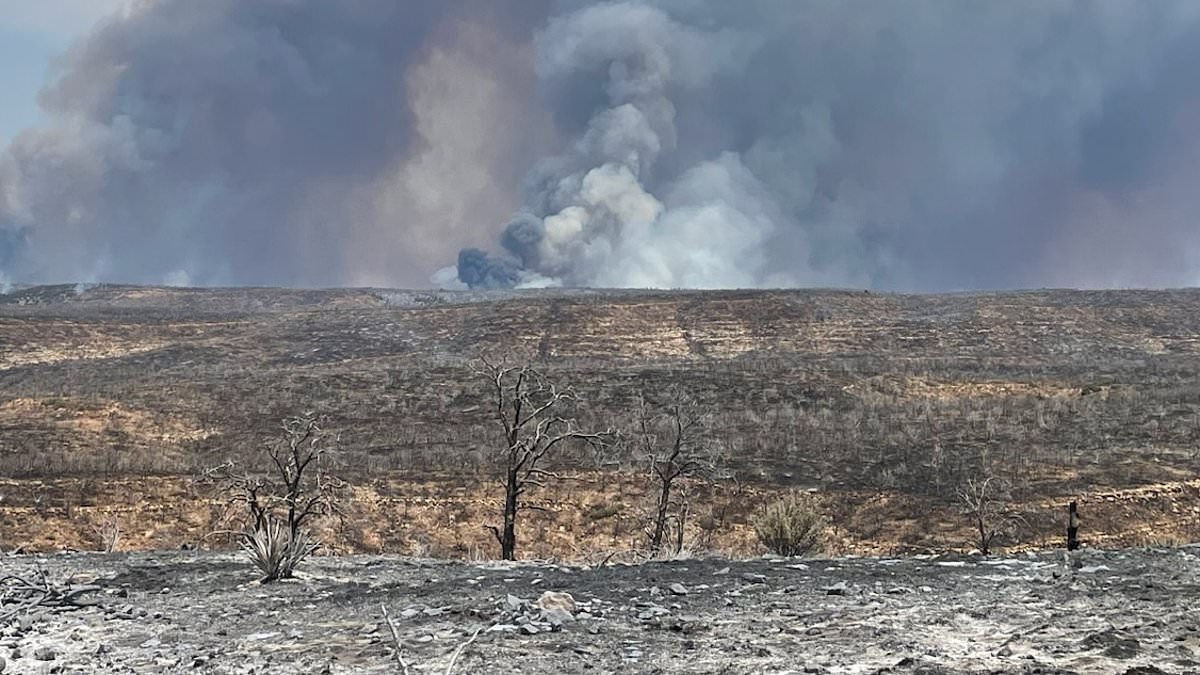 alert-–-grand-canyon-fire-cause-revealed-as-historic-lodge-burns-and-governor-demands-investigation:-live-updates