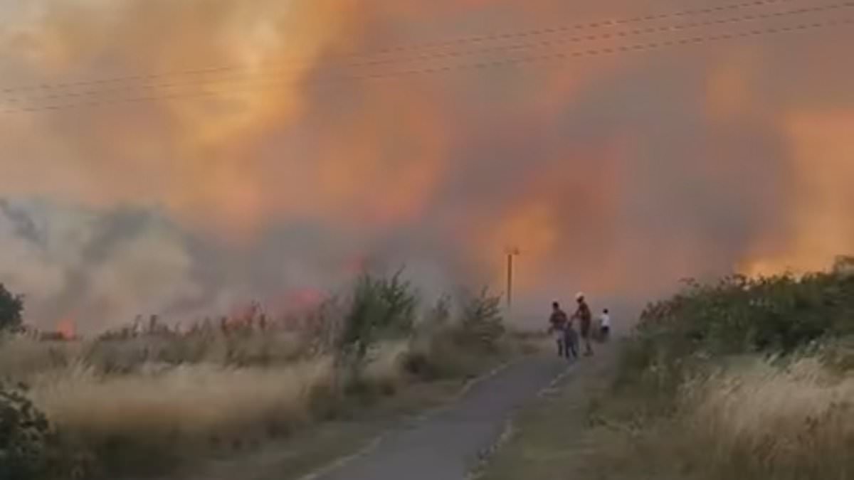 alert-–-fire-crews-raced-to-three-grass-fires-in-less-than-three-hours-in-east-london-–-forcing-residents-to-evacuate 
