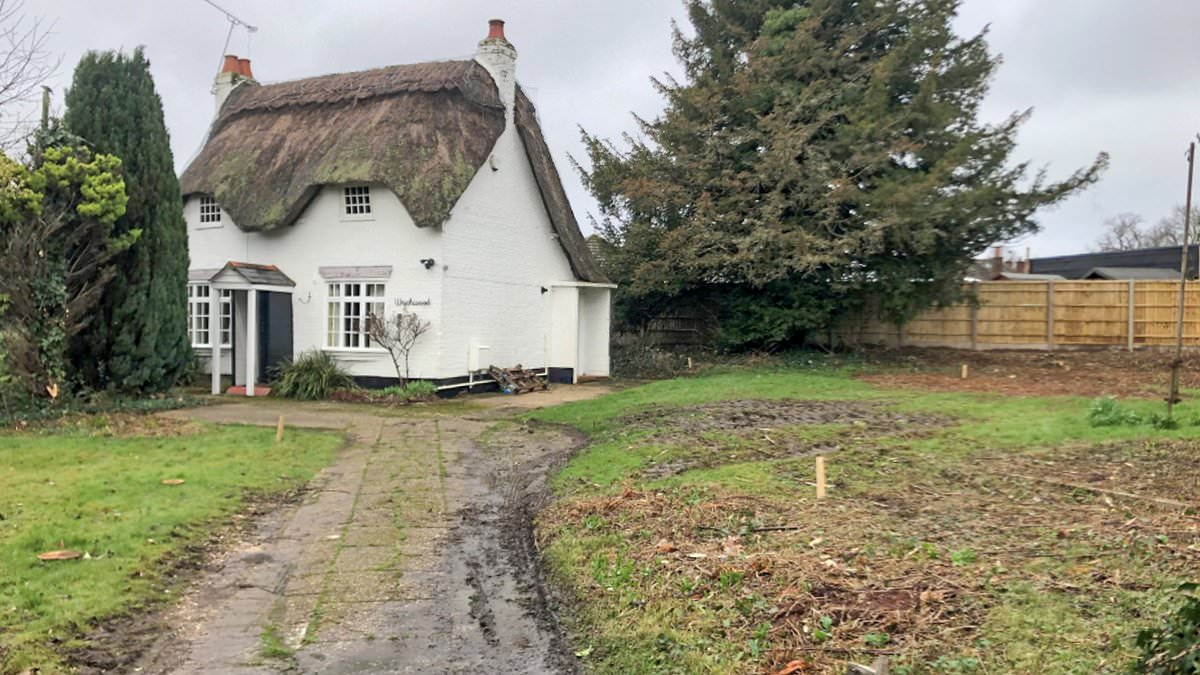 alert-–-owner-of-300-year-old-thatched-cottage-reveals-why-she-knocked-it-down-without-planning-permission-–-and-tells-of-her-‘deep-regret’-after-demolition-sparked-outrage