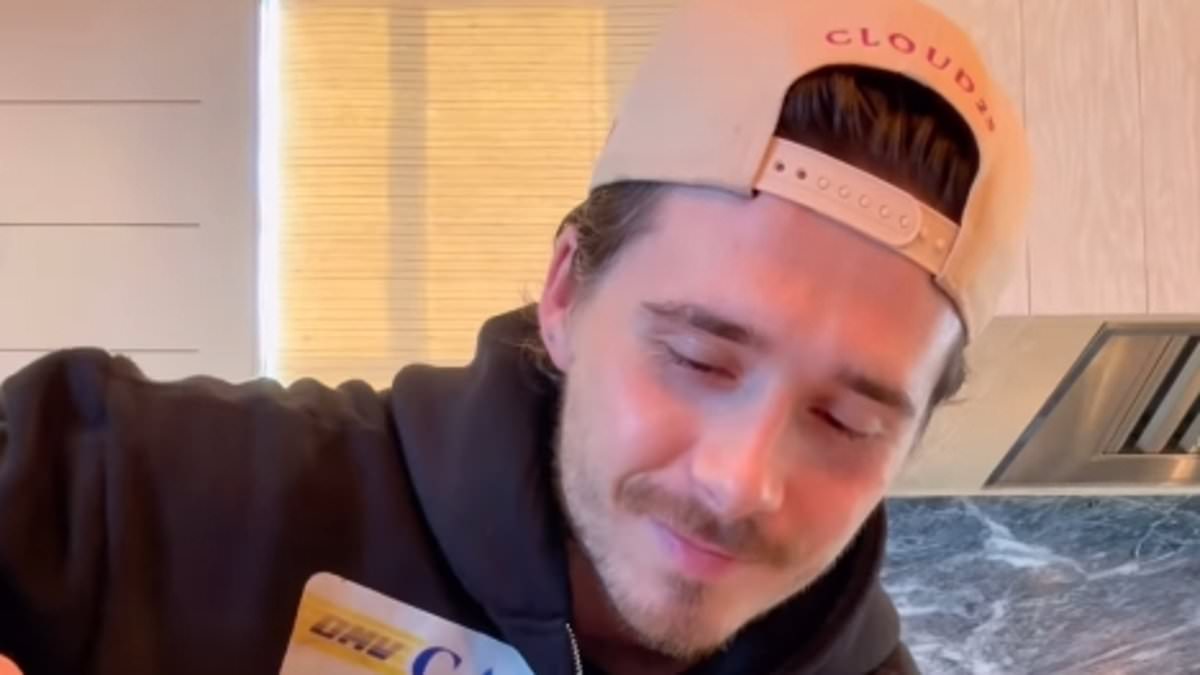 alert-–-becks-stands-in-the-way-of-brand-brooklyn:-estranged-son-forced-to-withdraw-application-to-create-his-own-liquor-line-after-becoming-embroiled-in-trademark-dispute-amid-family-feud