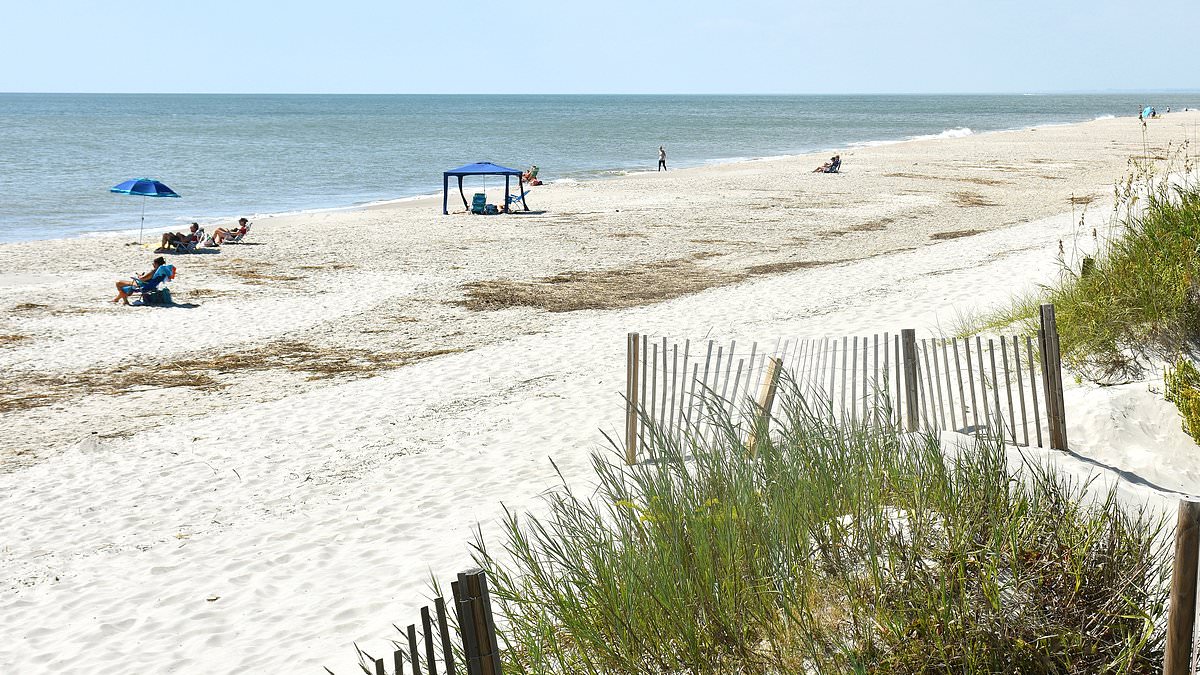 alert-–-north-carolina-teenager-suffers-unimaginable-horror-while-sunbathing-at-the-beach