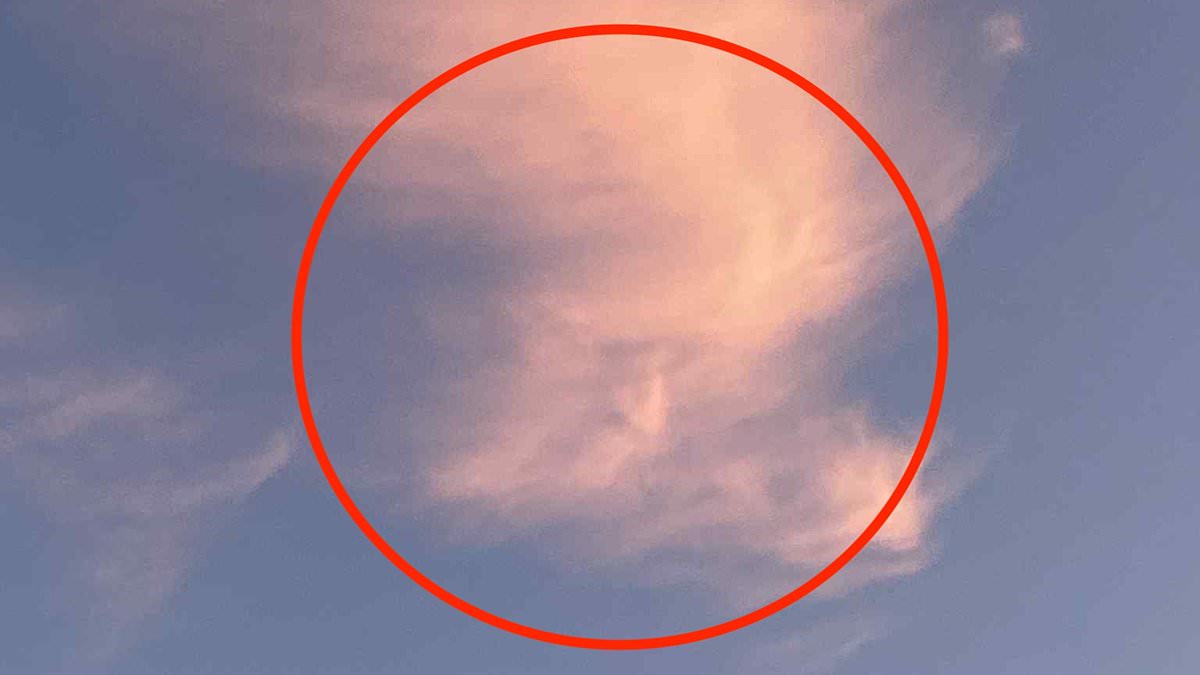 alert-–-donald-trump-has-got-his-head-in-the-clouds!-dogwalker-spots-us-president’s-profile-in-the-sky