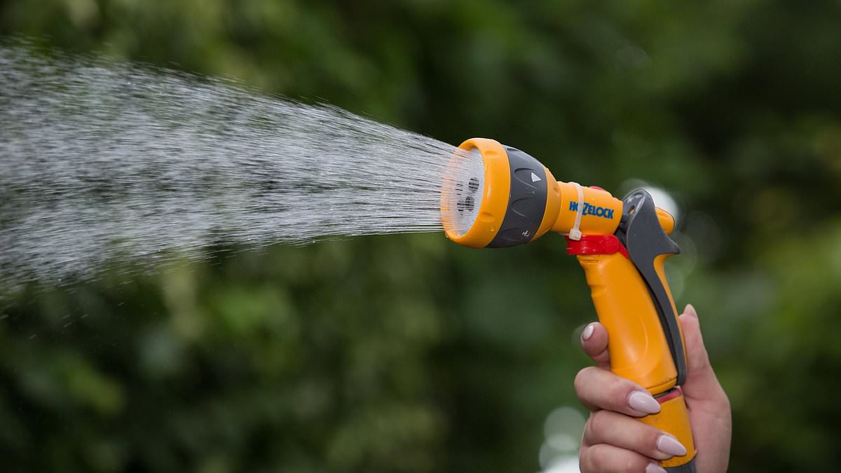 alert-–-hosepipe-ban-announced-in-another-two-counties-as-more-than-eight-million-brits-now-restricted-nationwide-–-is-your-area-affected?