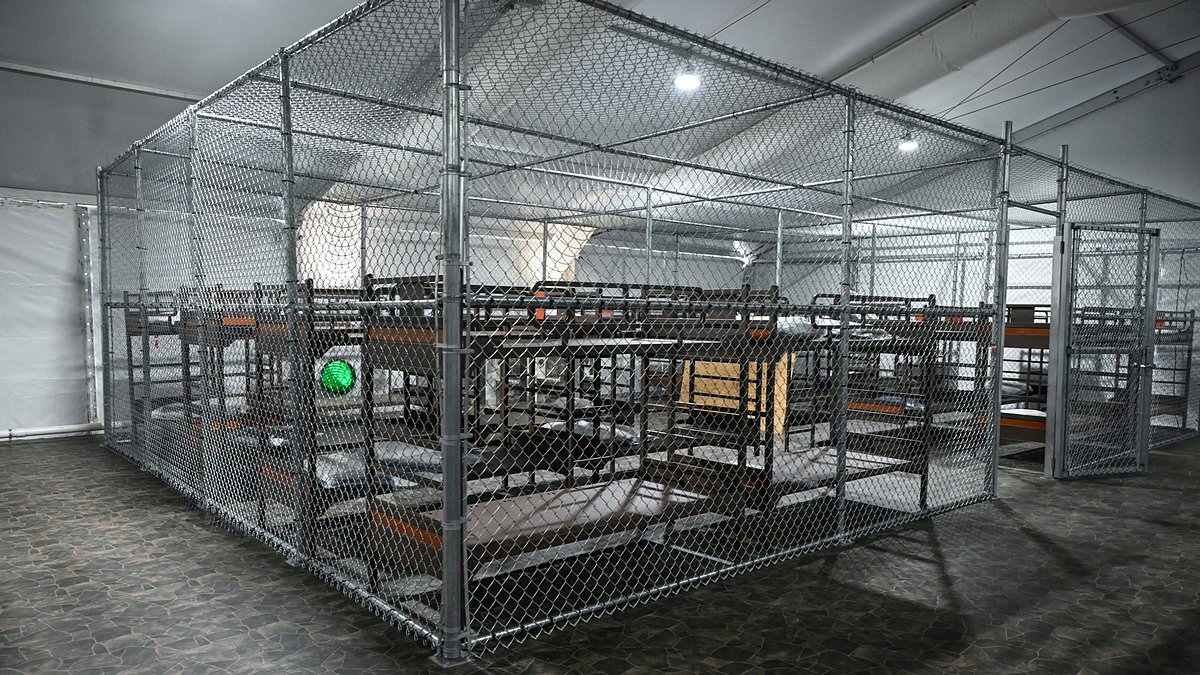 alert-–-migrant-being-held-in-alligator-alcatraz-now-begging-for-chance-to-self-deport