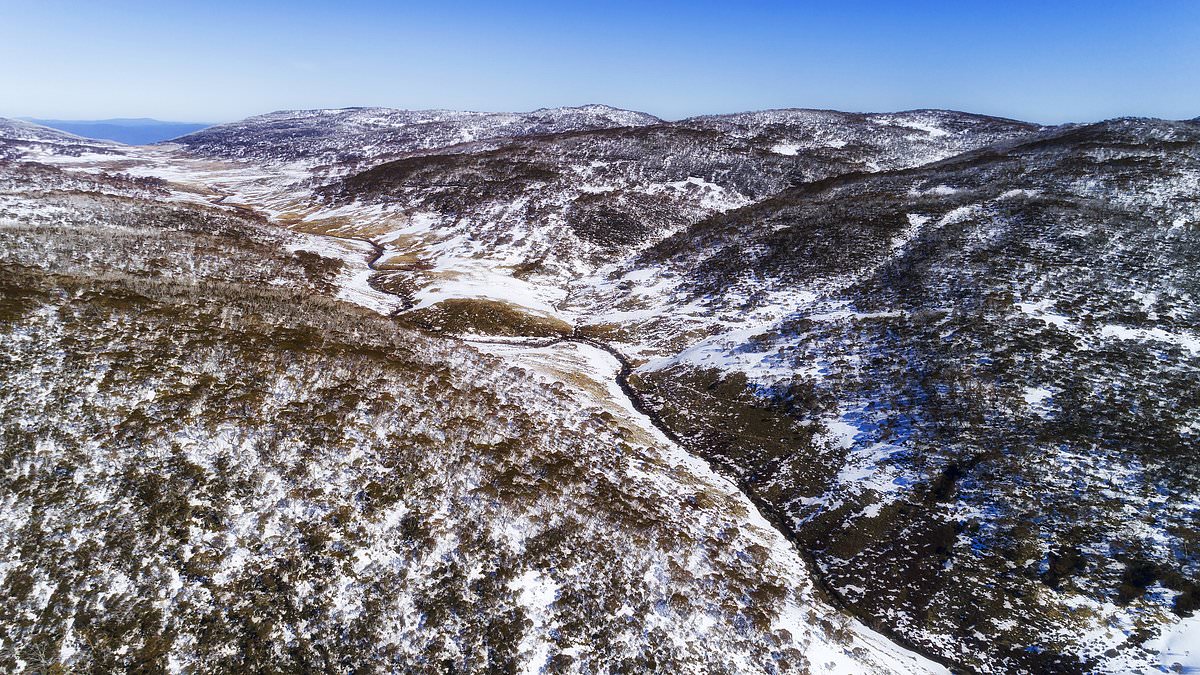 alert-–-search-for-missing-aussie-plane-turns-desperate-as-authorities-fear-it-has-crashed-in-remote-alpine-wilderness