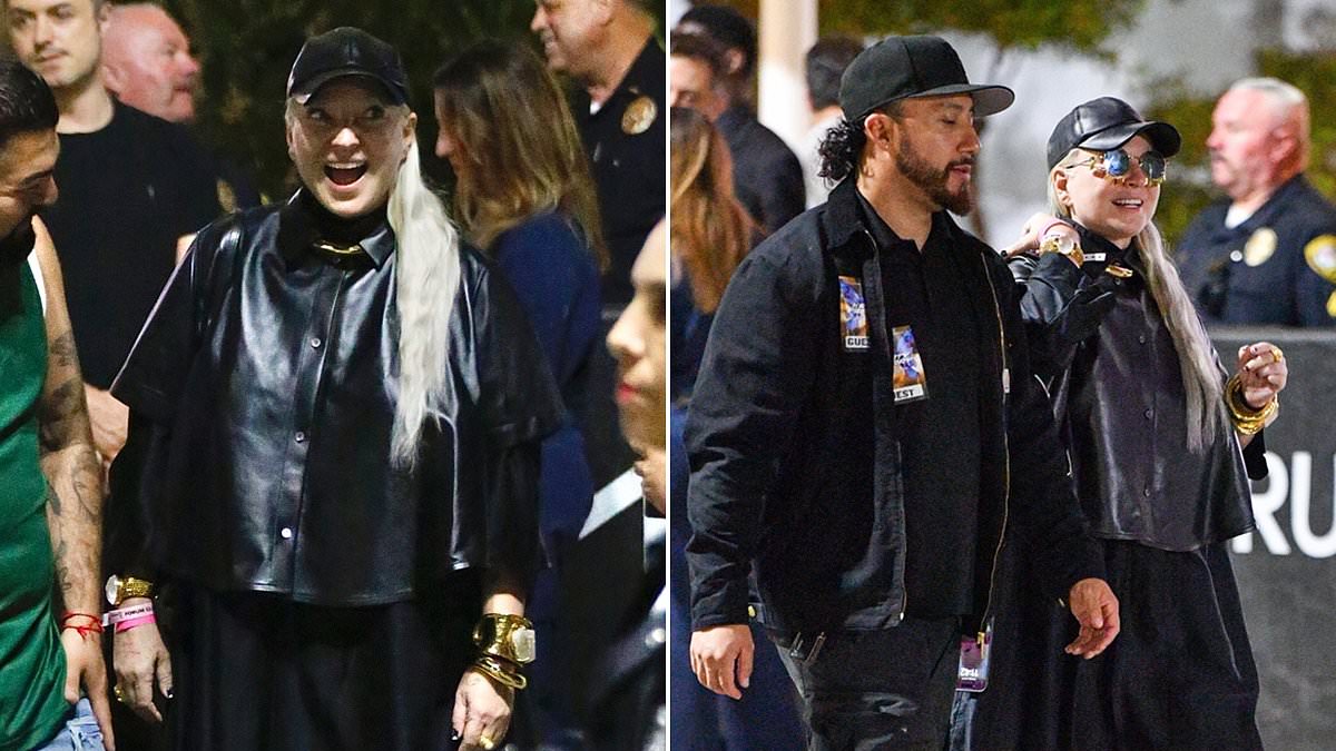 alert-–-sia,-49,-fuels-romance-rumors-with-mystery-man-at-katy-perry-concert-in-la…-after-divorcing-dan-bernad