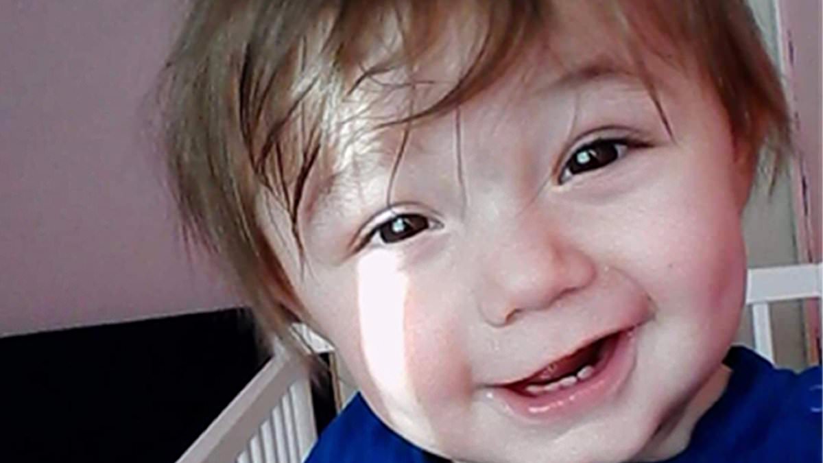 alert-–-inside-horror-house-where-grandparents-beat-a-toddler-to-death:-despicable-abuse-and-starvation-missed-by-social-services,-as-daughter-reveals