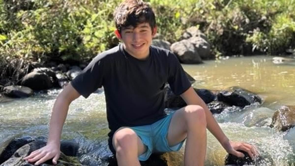 alert-–-boy,-14,-run-over-and-killed-by-l-plater-while-walking-to-school-is-identified-as-math-whizz-–-as-family-friend-reveals-heartbreaking-details