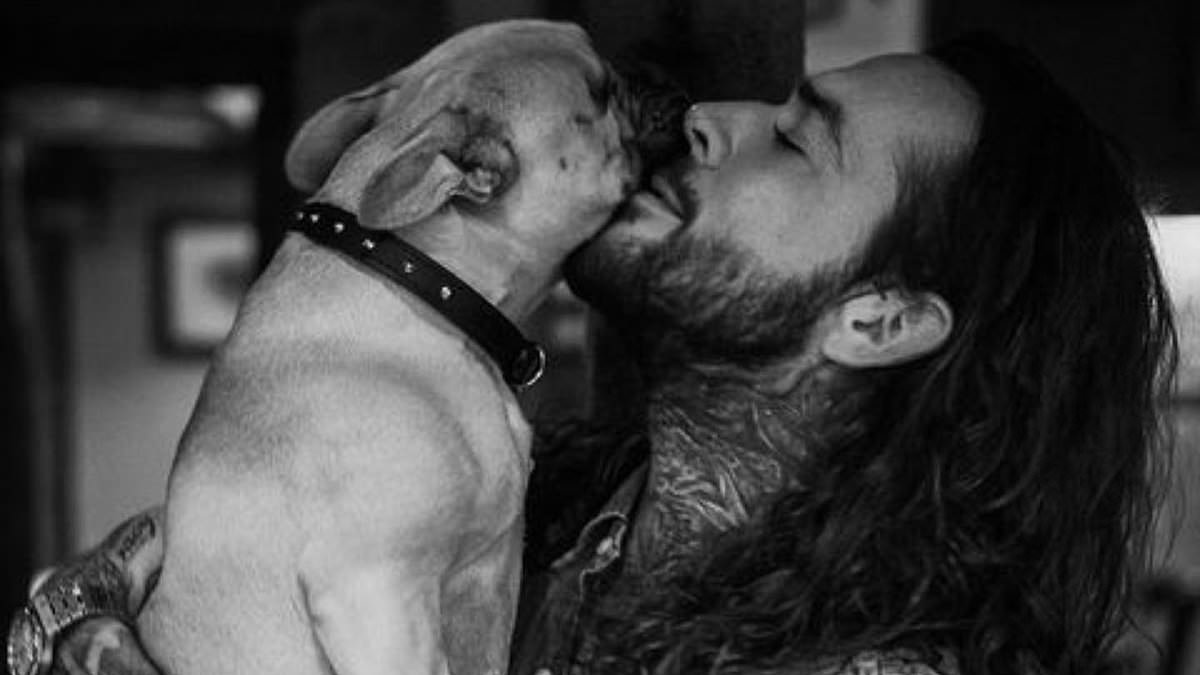 alert-–-pete-wicks-confesses-he’s-had-a-‘tough-week’-as-he’s-reunited-with-beloved-dog-peggy-after-nearly-‘losing-her’