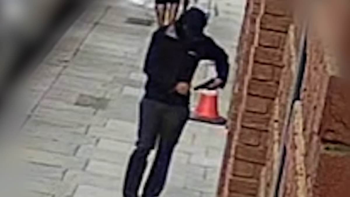 alert-–-chilling-moment-yob-pulls-out-handgun-and-kills-15-year-old-boy-in-teletubbies-park-before-notting-hill-carnival-in-‘west-london-gang-war’