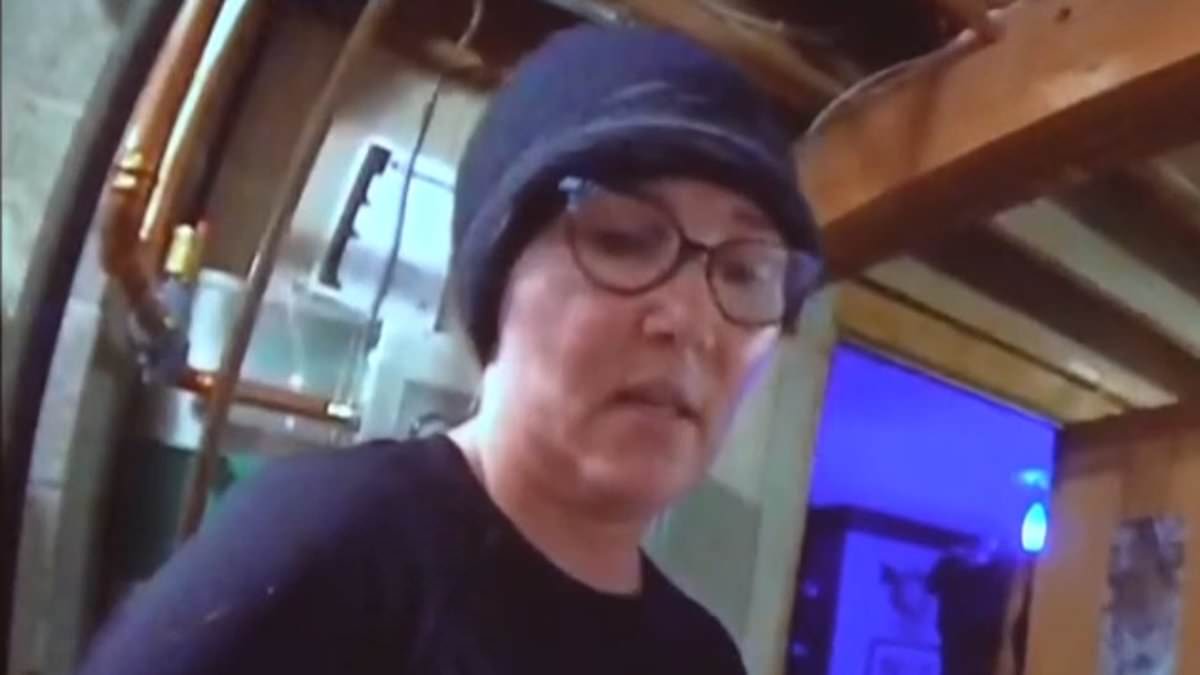 alert-–-state-senator-found-guilty-in-cat-burglary-case-after-shocking-footage-showed-her-robbing-stepmother