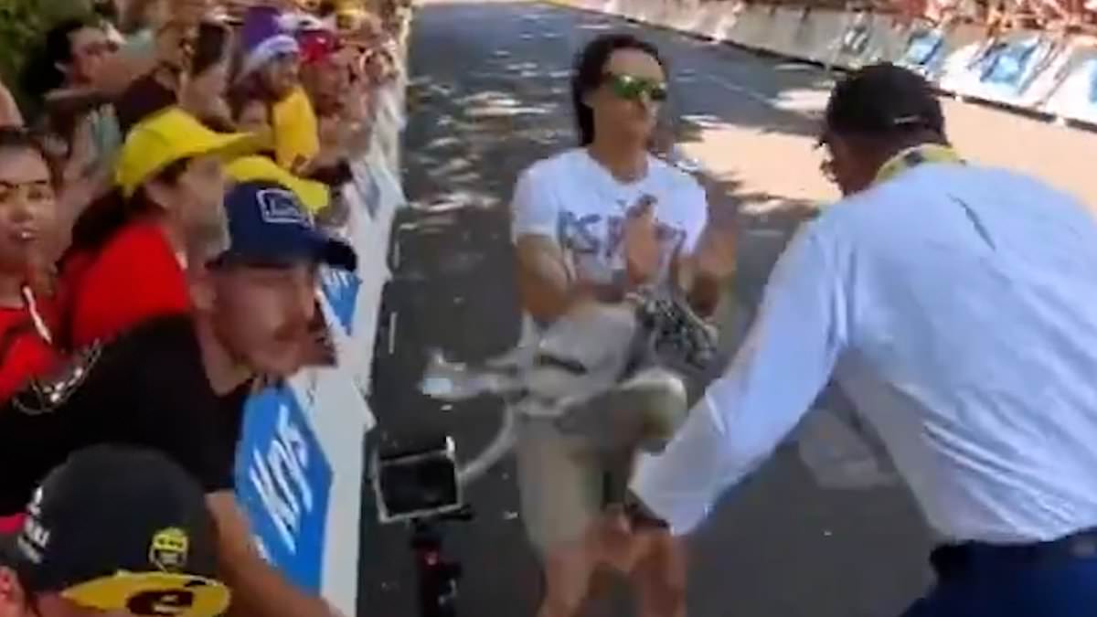 alert-–-no-nonsense-french-security-flips-pro-palestine-protester-trying-to-disrupt-tour-de-france-over-metal-barrier