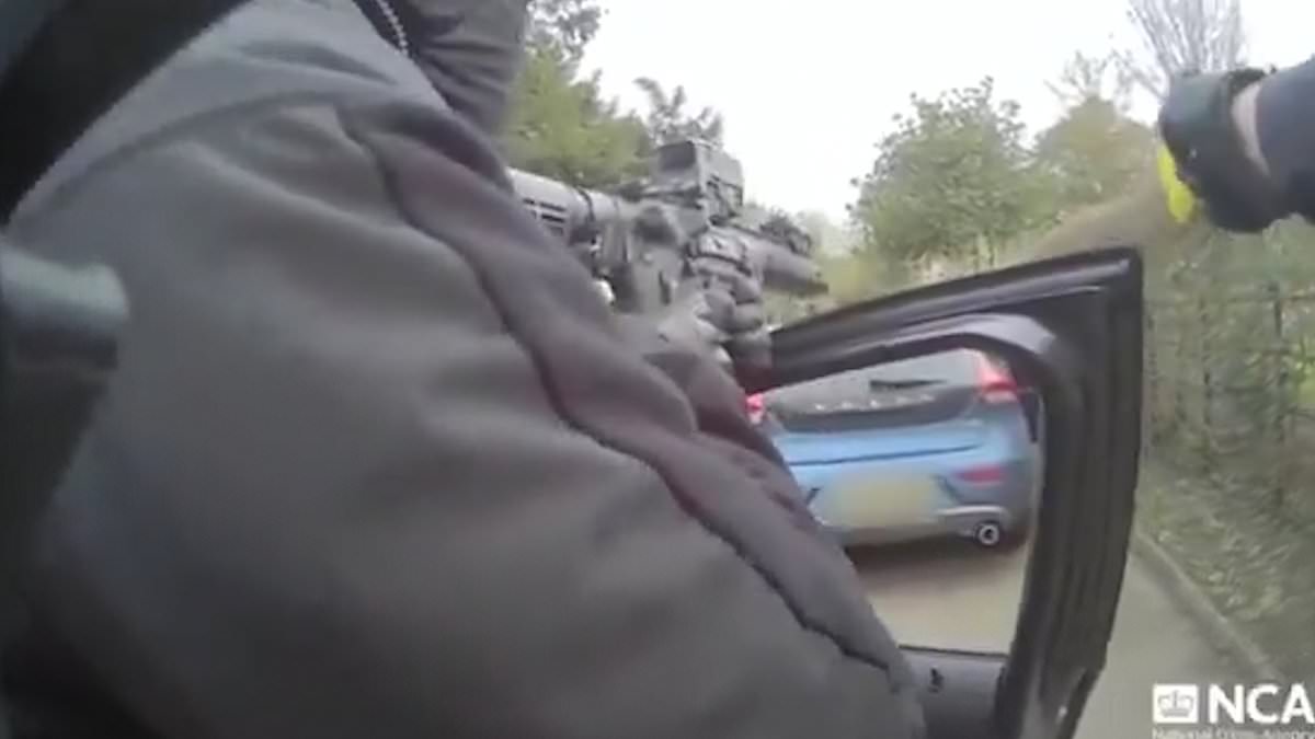 alert-–-dramatic-moment-gun-toting-drugs-cops-ambush-crime-boss-seconds-after-he’d-picked-up-4m-of-cocaine-from-light-plane