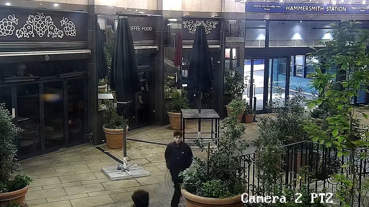 alert-–-who-is-this-man?-detectives-issue-appeal-after-woman-in-her-30s-is-sexually-assaulted-as-she-walks-alone-in-london-in-early-hours