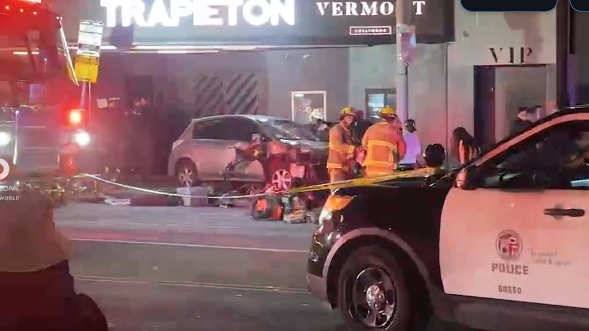 alert-–-vehicle-‘ploughs-into-crowd’-in-los-angeles-to-injure-at-least-31-–-with-three-fighting-for-life