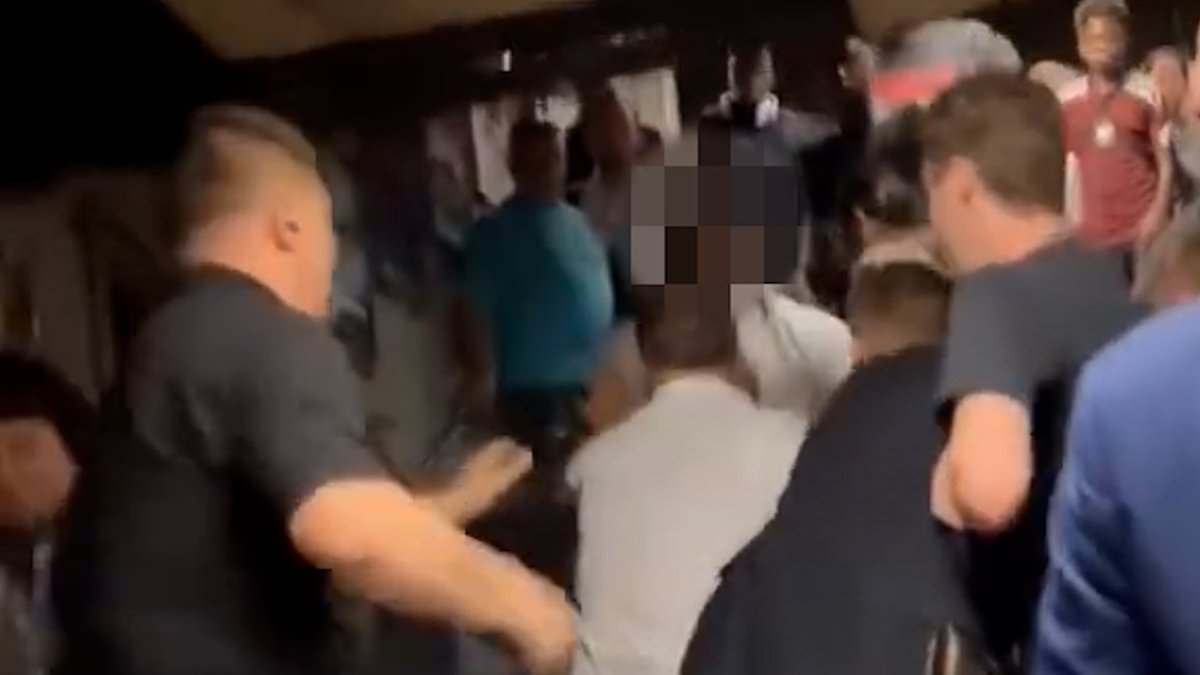 alert-–-truth-behind-tube-station-brawl-revealed:-man-dumped-toddler-on-floor-to-pile-into-massive-fight