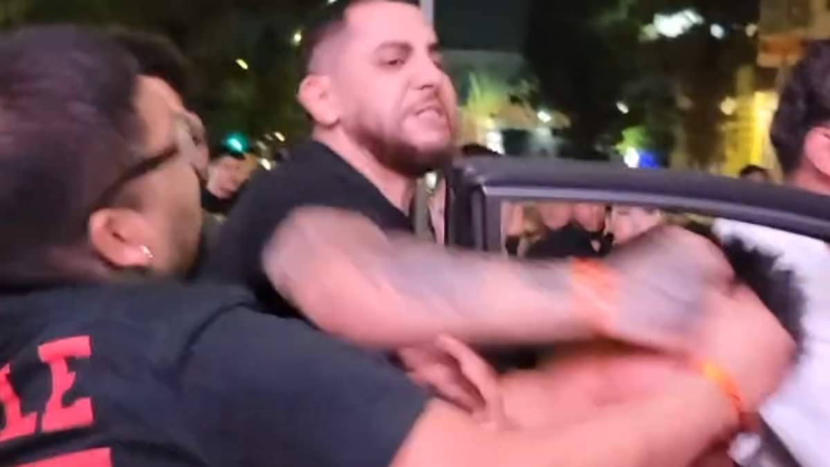alert-–-shocking-video-shows-moment-handcuffed-man-is-beaten-by-furious-survivors-of-la-crash-that-injured-31