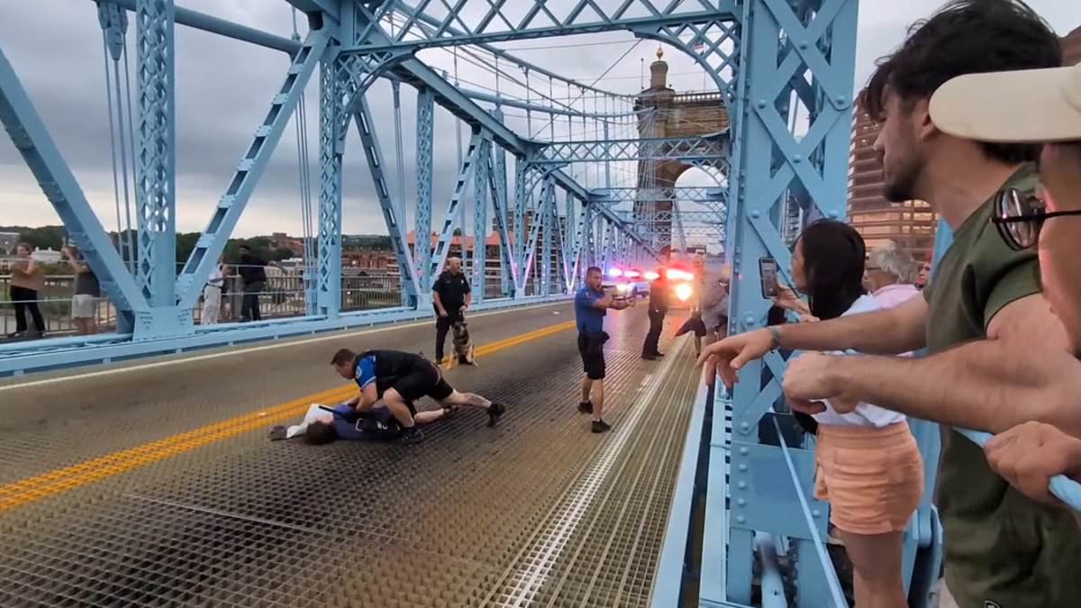 alert-–-ice-raid-sparks-pandemonium-as-cops-batter-agitators-blocking-major-bridge